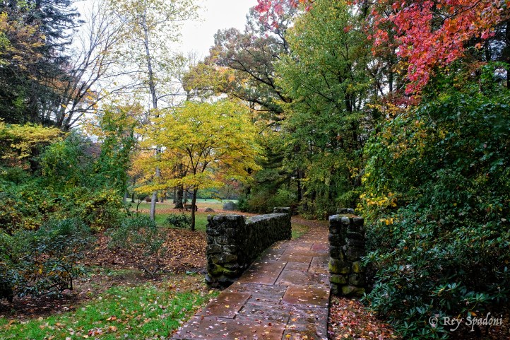 rey-spadoni-0744-edit-wm