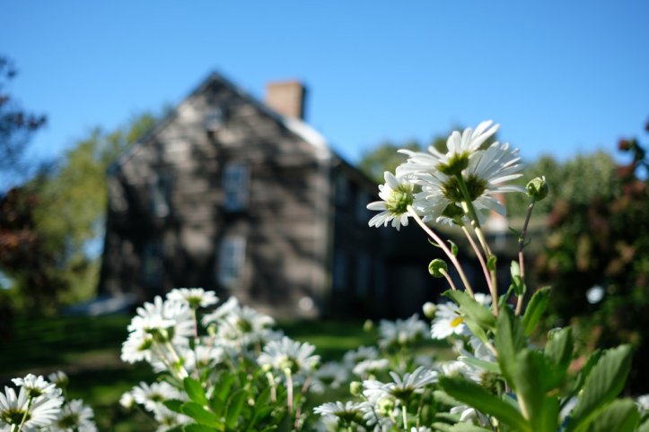 [23mm f2]: ISO 200, f/2, 1/2400 sec