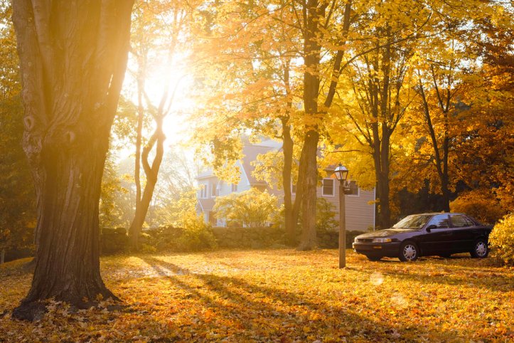 [23mm f1.4]: f/5.6, 1/80 sec