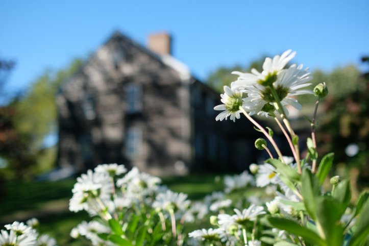 [23mm f1.4]: ISO 400, f/2, 1/4700 sec