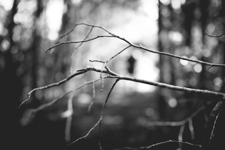 [23mm f1.4]: ISO 200, f/1.4, 1/240 sec