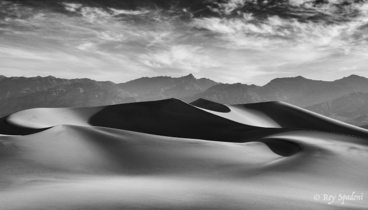 Rey Spadoni-0311-Edit-wm