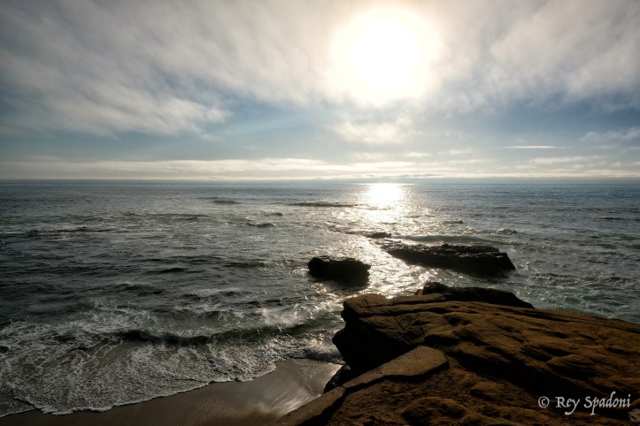 Rey Spadoni-06477-Edit-wm