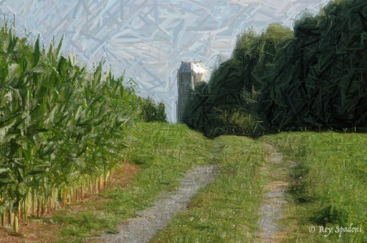 2004-07-13_DSC_1158_1_©Rey_Spadoni-wm