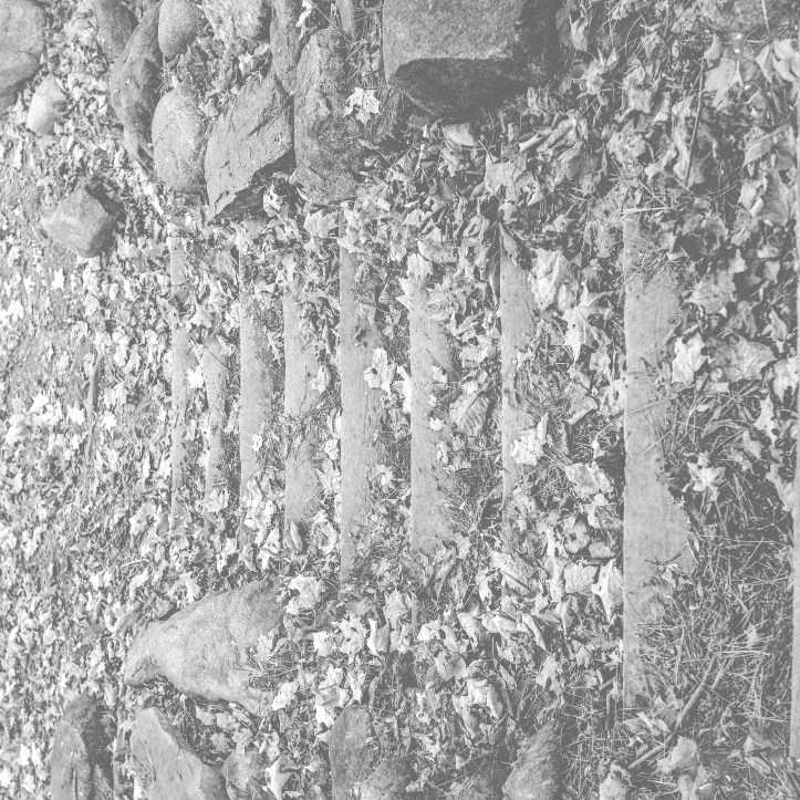 fsp_autumn_walk_10152017_1