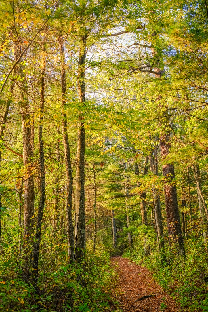 fsp_autumn_walk_10152017_6