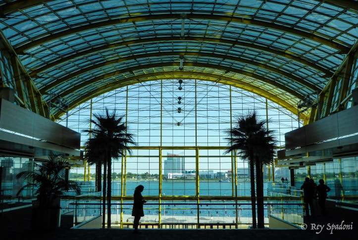 Rey Spadoni-1010989-wm