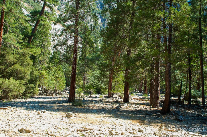 2005-08-11_DSC_1243_1_©Rey_Spadoni-wm