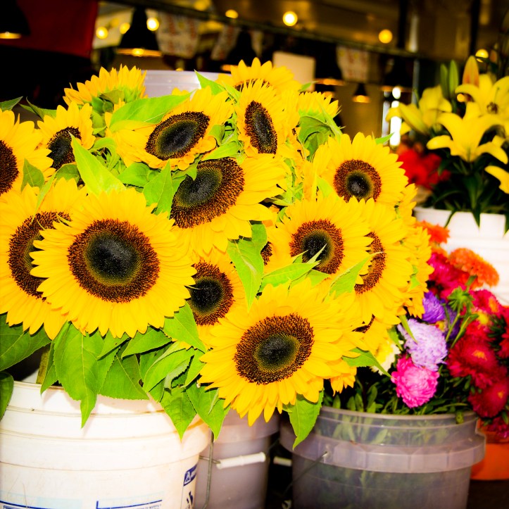 2006-01-13_Rey 185 (2)_©Rey_Spadoni (1).jpg