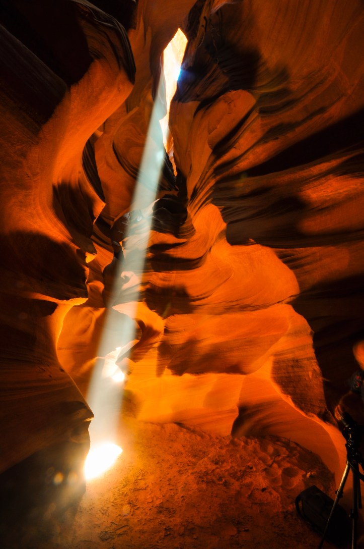 2009-06-19_DSC_1507_©Rey_Spadoni