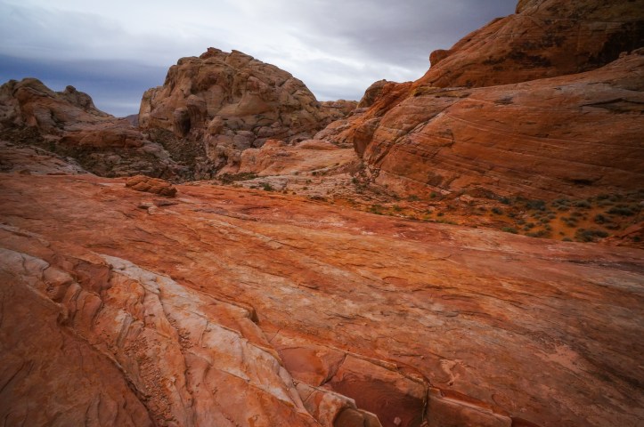 2011-10-05_DSC00757_©Rey_Spadoni