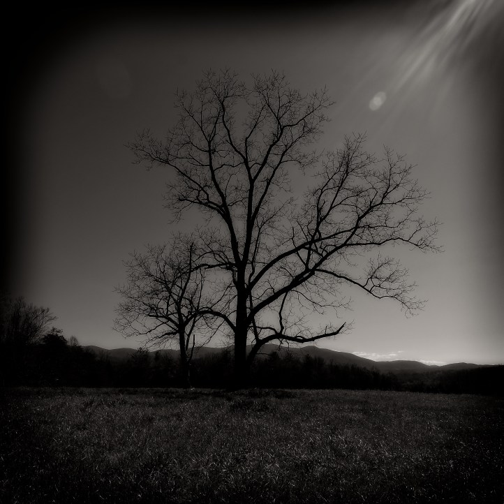 Rey Spadoni-0278-Edit.jpg