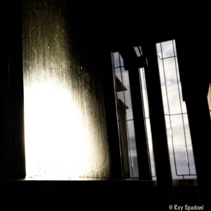 Rey Spadoni-0398_processed.jpg