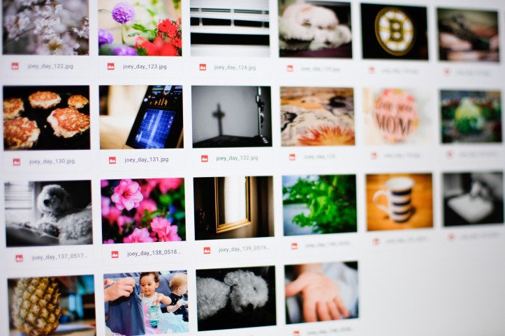 joey_day_149_052918_1-2