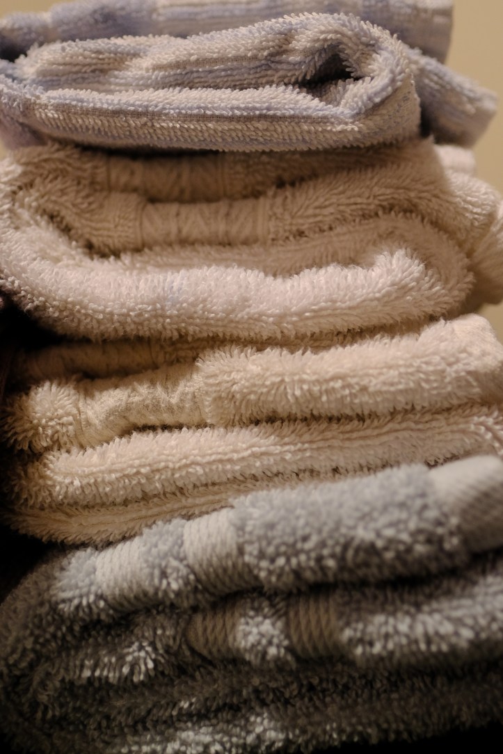 joey_day_226_081318_1