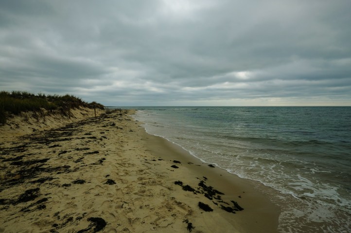 DSCF0790.jpg