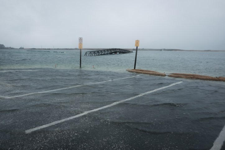 joey_day_330_11252018