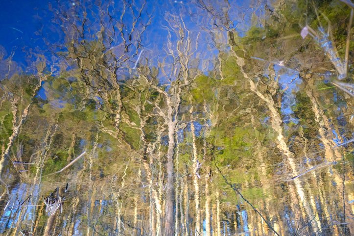 perspective_03232019