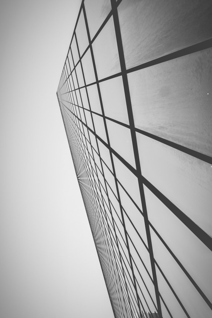 reflection_03092019-3