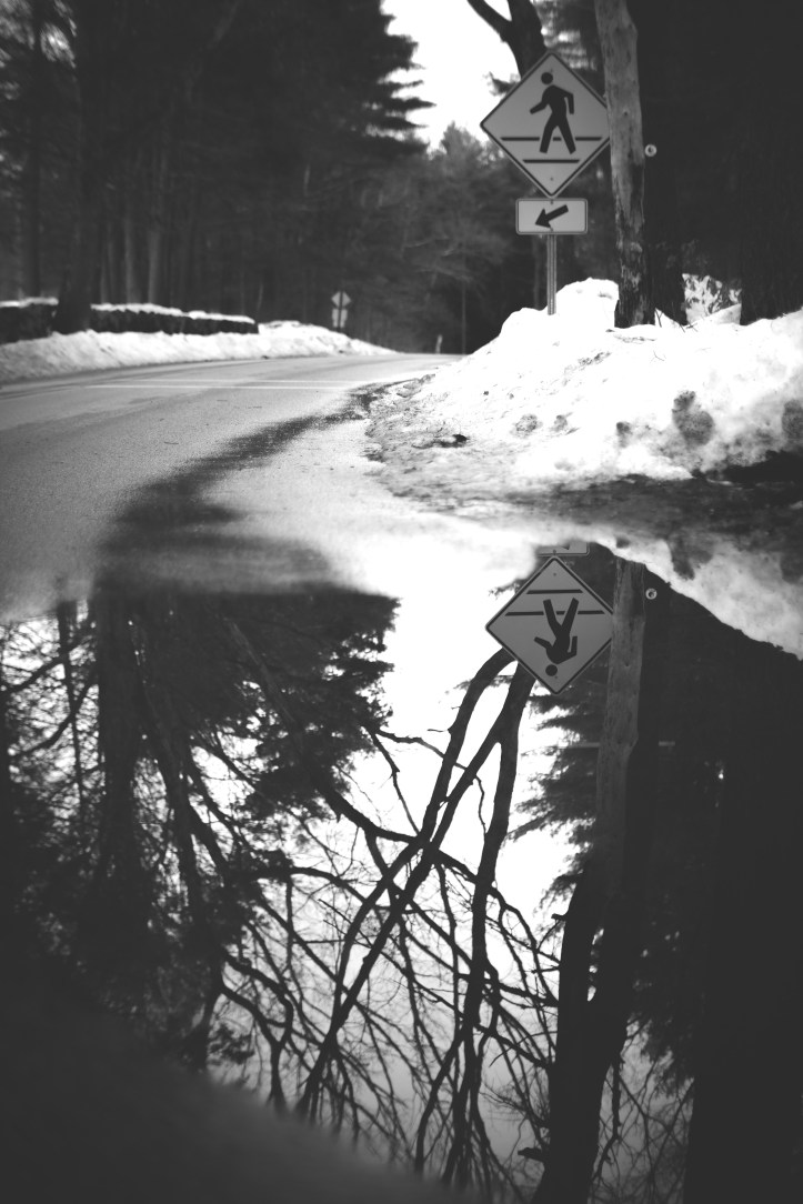 reflection_03112019-3