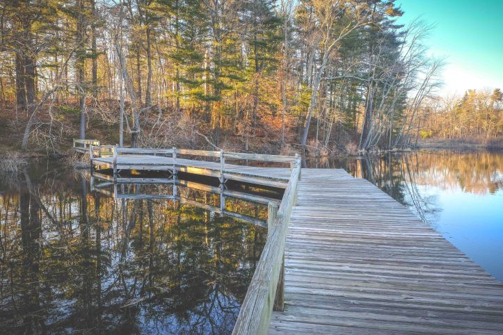 boardwalk_03232019-4
