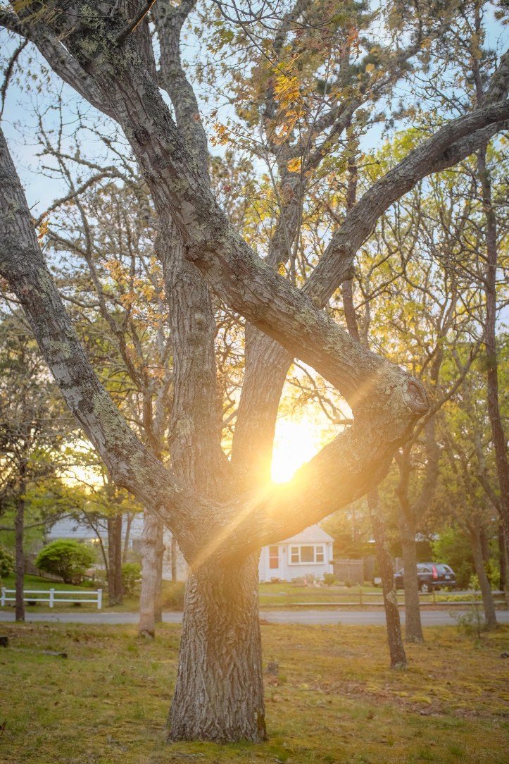 Project22_Memorial_05242019