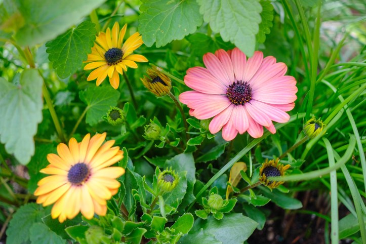 project_19_ordinary_05072019-2