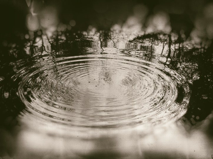 Rey Spadoni-0115-Edit