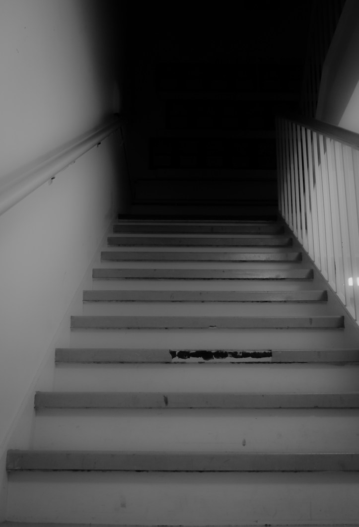 DSCF0495
