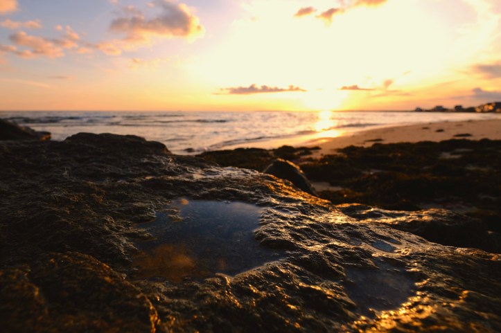 Subtle_Seas_10132019