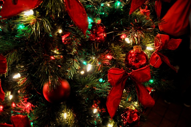 2009-11-25_DSC_0034_©Rey_Spadoni