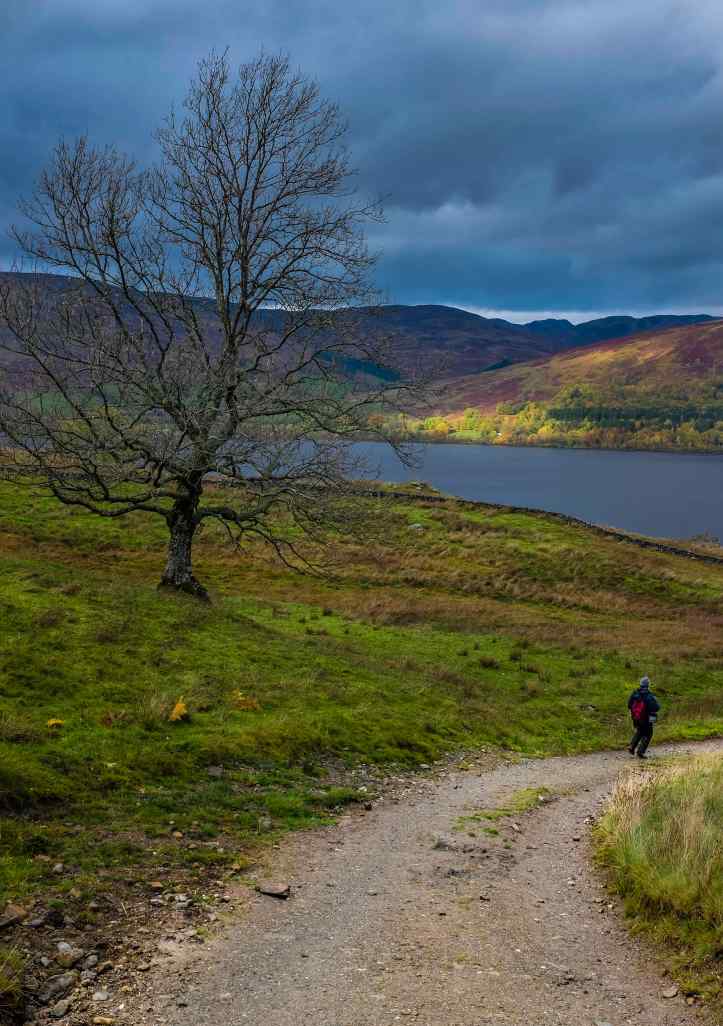 _DSF5695_10252014_708